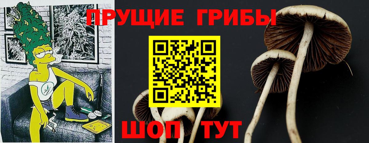 Галлюциногенные грибы мухоморы  Вход с VPN  Арсеньев 